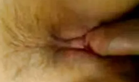 A Brunette and two people milftoon lemonade on the bed